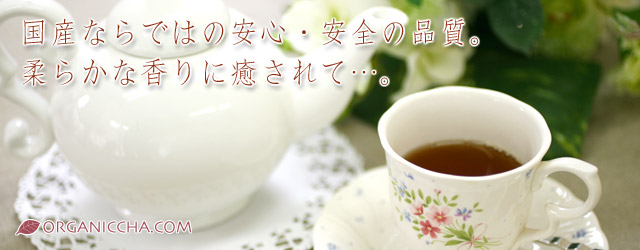 オーガニック茶ティーバッグ【有機国産紅茶】日本の気候、風土ならではのやわらかい味と香り♪｜有機茶通販 オーガニック茶.com
